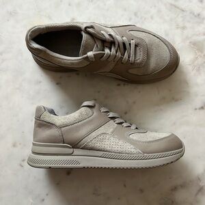Everlane The Trainer Casual Sneaker LIKE NEW (Women’s 8)